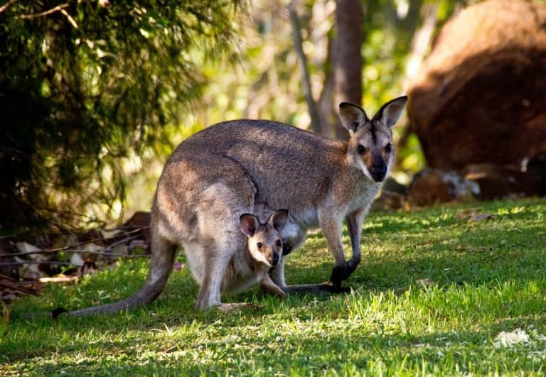 Queensland – Travel Guide, Sightseeing & Insider Tips