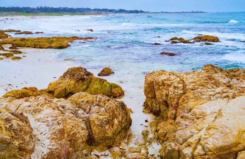 Asilomar State Beach California