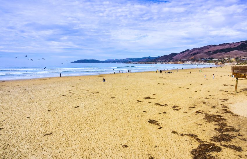 Pismo State Beach surfspot in California