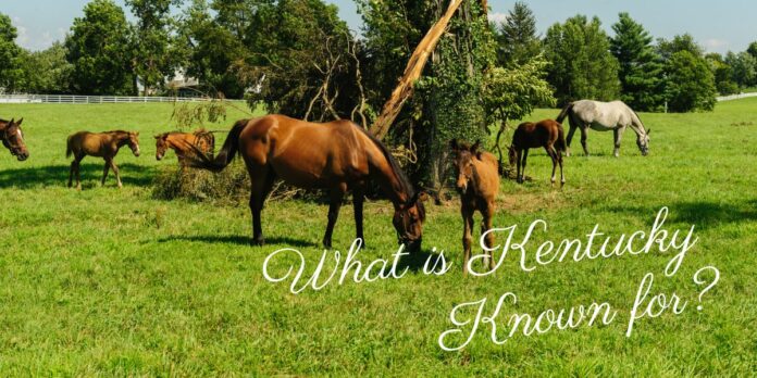 what is kentucky known for what is kentucky known for